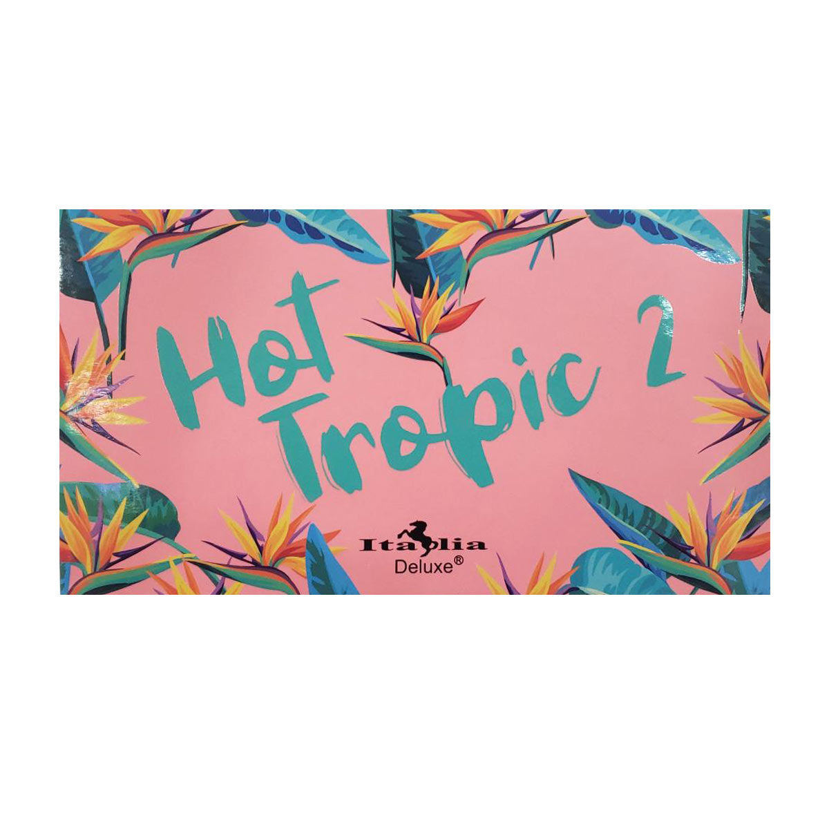 Hot Tropic Palette 2